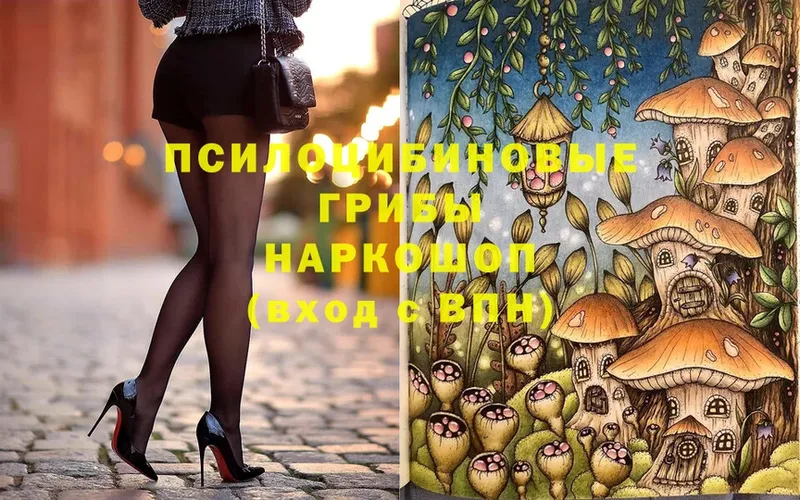 omg как войти  Владивосток  Галлюциногенные грибы Cubensis  сколько стоит 